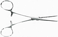 Rochester Ochsner Forceps - Straight